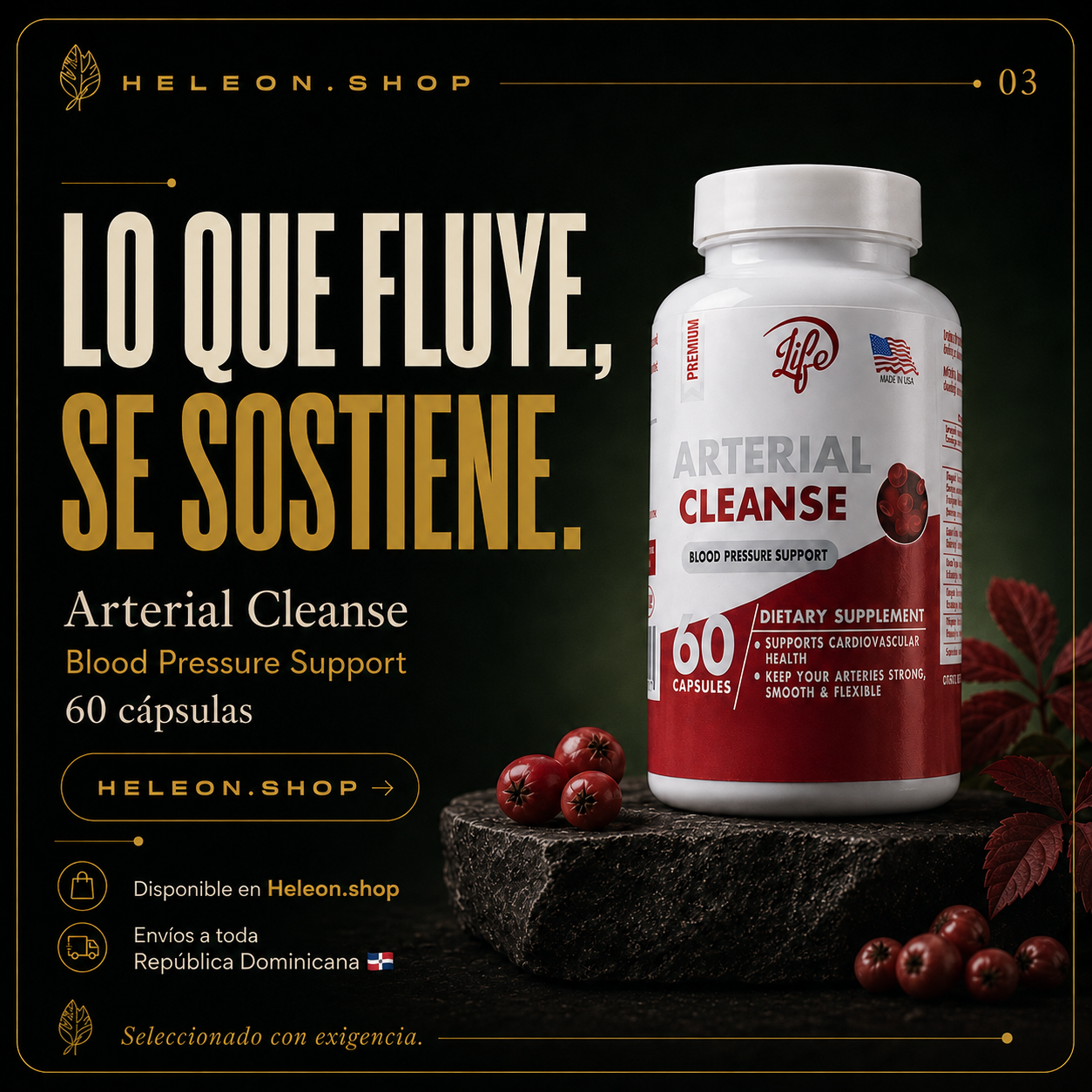 Arterial Cleanse - Salud arterial natural